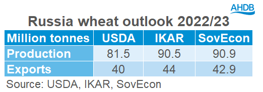 A table showing Russian wheat production and exports.